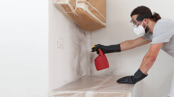 Professional Crawl Space Mold Removal technician working in Drake, CO