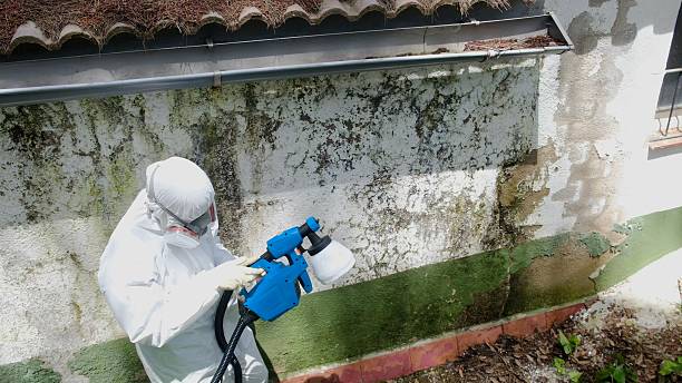 Top rated local Crawl Space Mold Removal specialists in Drake, CO